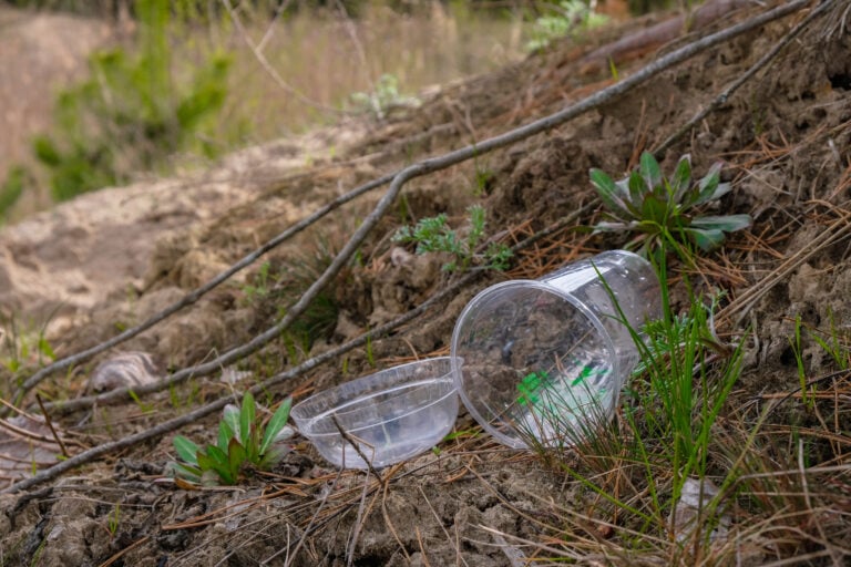 Are Bio-Plastics Sustainable