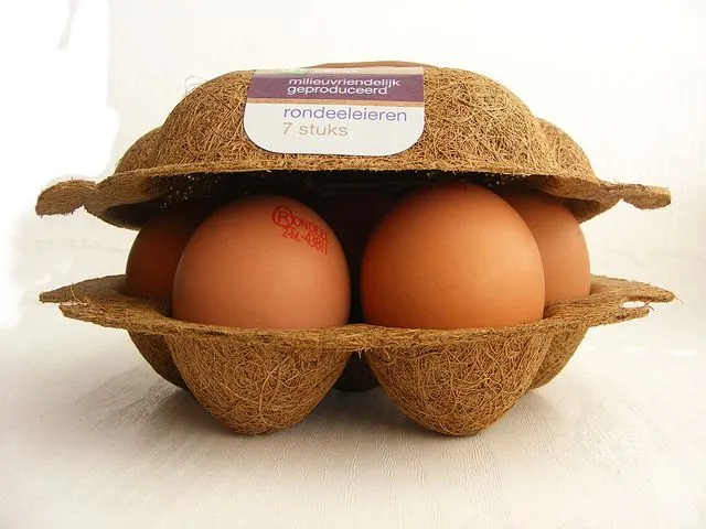 coconut husk, plant-based packaging