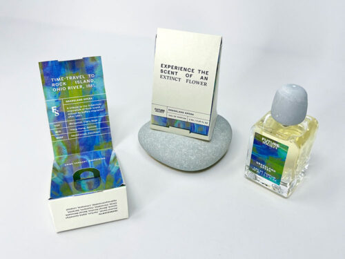 Structural Carton 
Packaging Design